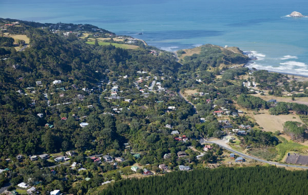 Aerial view of west Auckland coastline and bush areas.